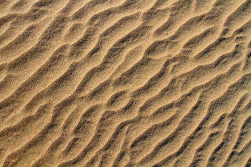 Fototapeta na wymiar Rippled sand texture