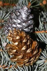 Silver and golden pine cone.