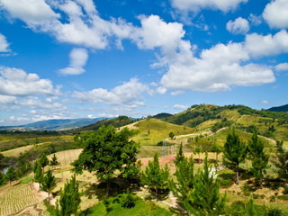 Fototapeta na wymiar Landscape of hill and pines in the Central of Thailand
