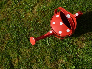 die kleine gießkanne © forelle66