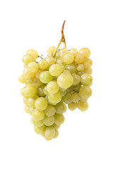 Bunch of grapes