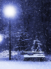 Bench, christmastree and lantern - 27763253