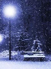 Photo sur Plexiglas Hiver Bench, christmastree and lantern