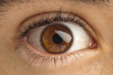 brown eye