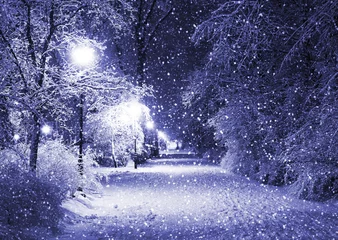 Fototapete Winter Winter alley at night