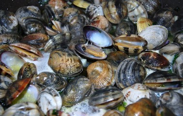 bivalvi-vongole veraci