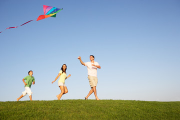 Young family, parents with child, playing in a field