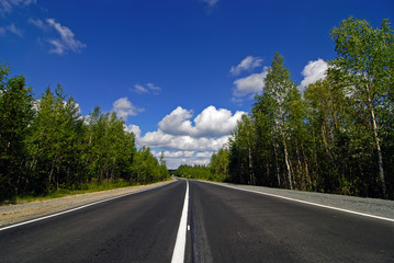 road passing through the forest