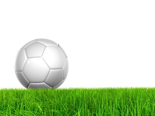 Fototapeta premium High resolution grass with soccer ball isolated
