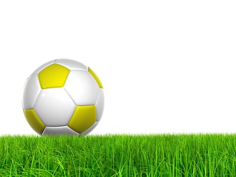 High resolution soccer ball in grass isolated