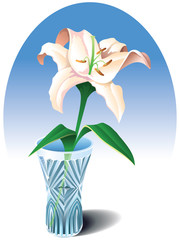 Tender creamy lily in the crystal vase, vector illustration