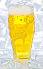 Beer