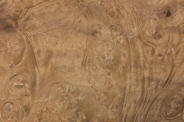 wood texture-myrtle