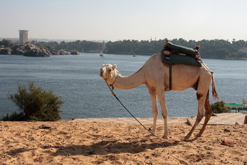 egypte