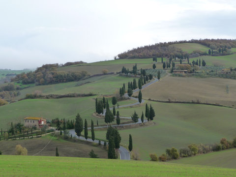 wundervolle Strasse in der Toskana