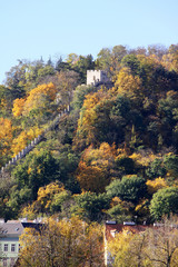 Fototapeta premium View on the autumn Prague Hill Petrin