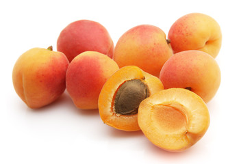 Sweet apricot