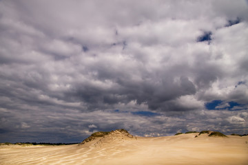 Fototapeta na wymiar The moving sands in the Polish Desert near Leba