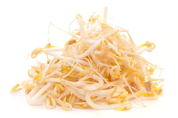 Bean sprout or Mung bean used to cook Asian food
