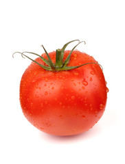 Fresh tomato with water drops