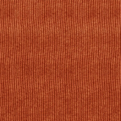 Fototapeta premium Wood texture