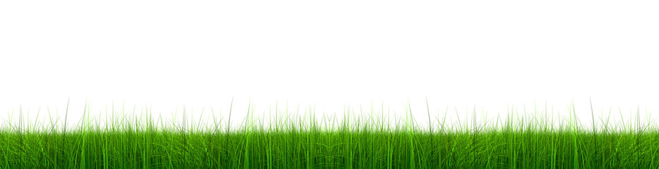 Fototapeta premium Wysoka rozdzielczość 3d zielona trawa na białym