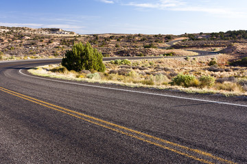 Windy Road