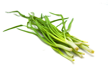 spring onion