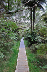 Obraz premium sur le chemin du trou de fer