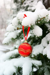 Firtree with red christmas ball and snow outdoor