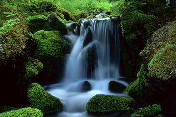 Beautiful landscape of flowing water