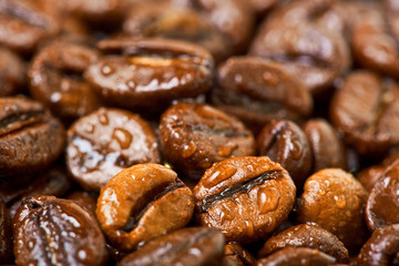 wet coffee beans