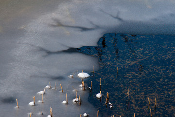 trügerische Eisfläche