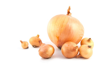 golden ripe onions on a white background
