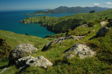 French Pass Marlborough