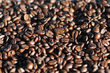 Kaffeebohnen