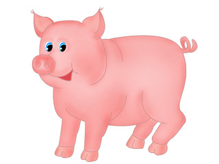 pig