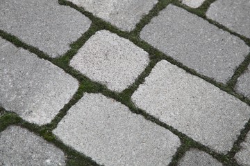 Bilder und Videos suchen: hofpflaster