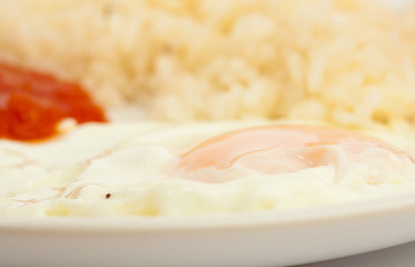 rice and fried egg