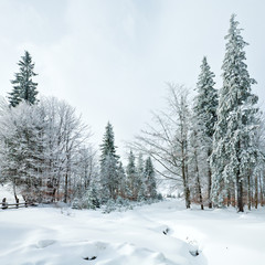 winter country mountain landscape