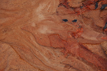 калейдоскоп природы