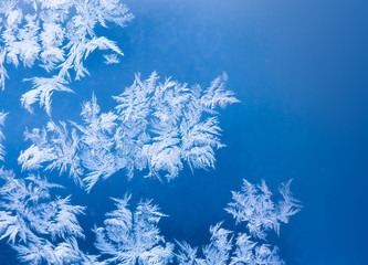 Natural xmas ornament on glass