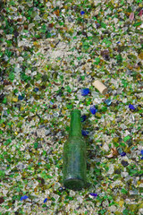 Bottle that Survived the Crushing Process at a Recycling Plant