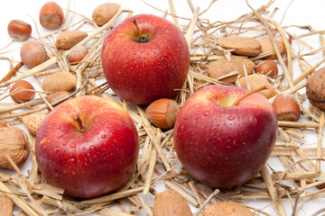 Äpfel mit Wassertropfen und Nüsse auf Stroh