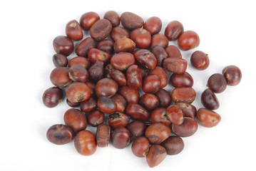 Chestnuts