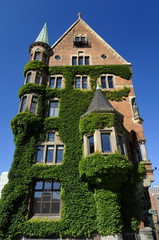 Die Hamburger Speicherstadt