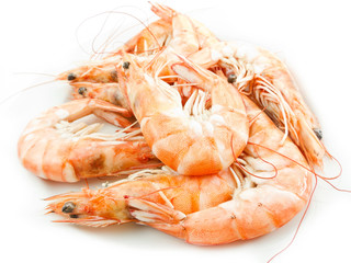 Shrimps with shells on white background