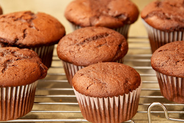 Chocolate cupcakes on cooling rack