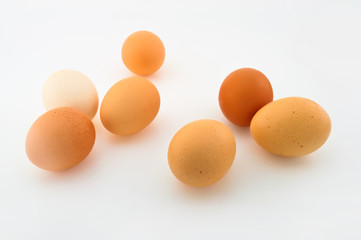 eggs