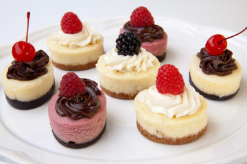 Petite Cheesecakes